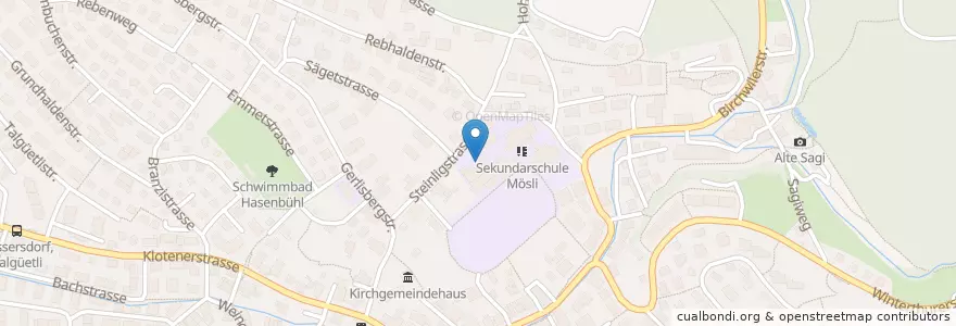 Mapa de ubicacion de Primarschule Steinlig en İsviçre, Zürih, Bezirk Bülach, Bassersdorf.