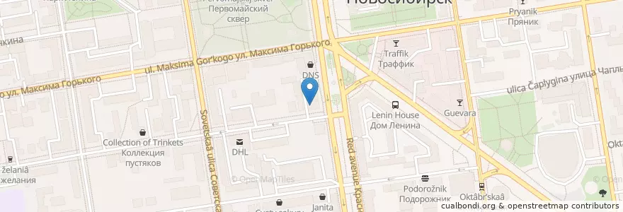 Mapa de ubicacion de RaGu en روسیه, Сибирский Федеральный Округ, استان نووسیبیرسک, Городской Округ Новосибирск.