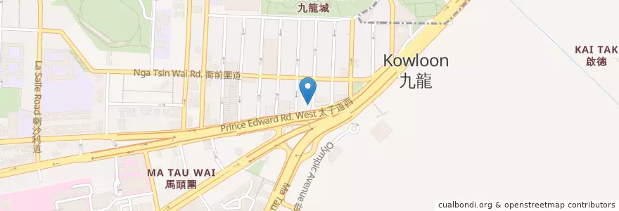 Mapa de ubicacion de 清真牛肉館 Islam Food en چین, گوانگ‌دونگ, هنگ‌کنگ, کاولون, 新界 New Territories, 九龍城區 Kowloon City District.