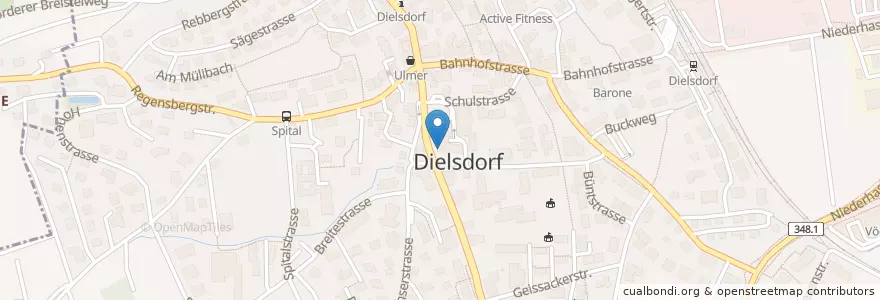 Mapa de ubicacion de Altes Gerichtshaus en 스위스, 취리히, Bezirk Dielsdorf.