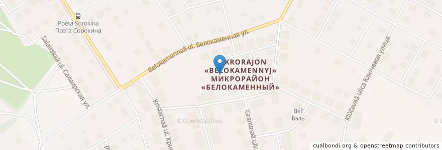 Mapa de ubicacion de Бердская en Rusia, Сибирский Федеральный Округ, Wilayah Novosibirsk, Городской Округ Бердск.