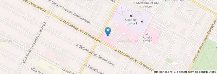 Mapa de ubicacion de Фармация en Rusia, Сибирский Федеральный Округ, Wilayah Novosibirsk, Городской Округ Бердск.