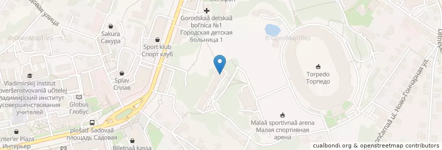 Mapa de ubicacion de Динамо en روسيا, Центральный Федеральный Округ, فلاديمير أوبلاست, Городской Округ Владимир.