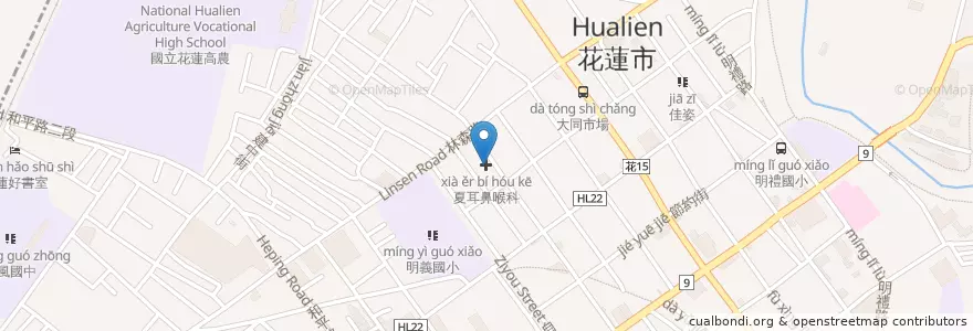 Mapa de ubicacion de 夏耳鼻喉科 en تايوان, مقاطعة تايوان, هوالين, 花蓮市.