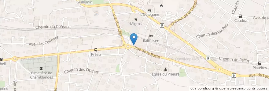 Mapa de ubicacion de Pharmacie Pulliérane en Schweiz, Waadt, District De Lavaux-Oron, Pully.