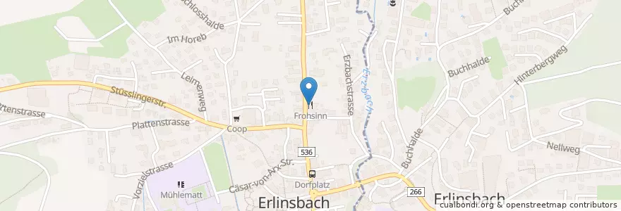 Mapa de ubicacion de Frohsinn en Швейцария, Аргау, Erlinsbach (Ag), Bezirk Gösgen, Erlinsbach (So).