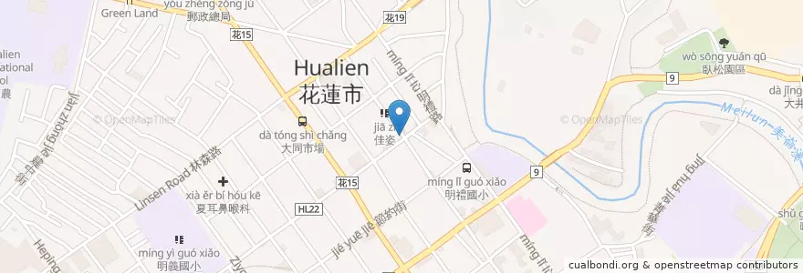 Mapa de ubicacion de 元富證券 en 臺灣, 臺灣省, 花蓮縣, 花蓮市.