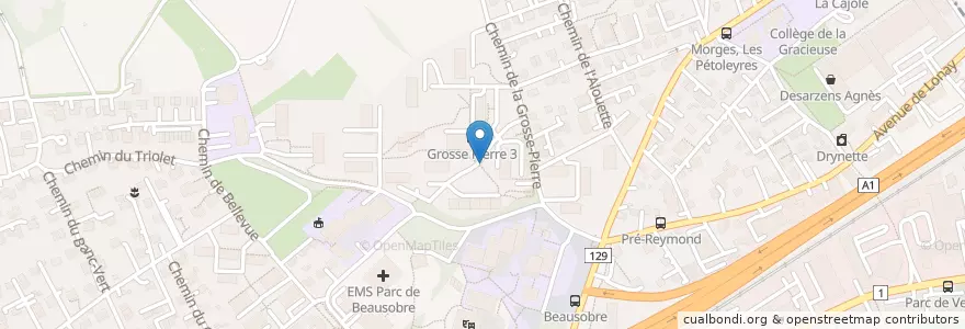 Mapa de ubicacion de Grosse Pierre en Schweiz, Waadt, District De Morges, Morges.