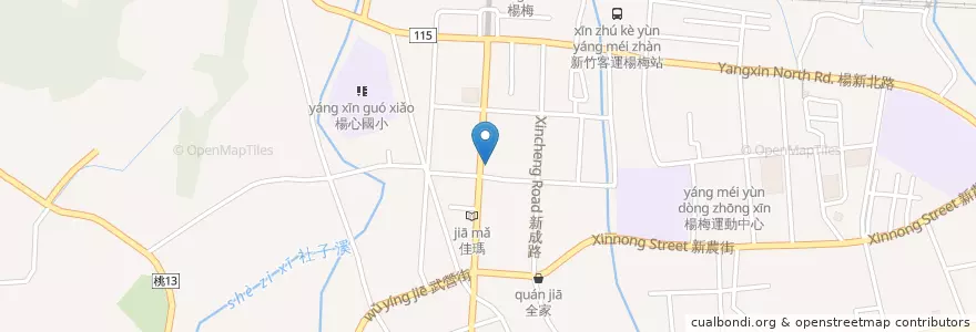 Mapa de ubicacion de 大樹藥局 en Taiwan, Taoyuan, Yangmei District.