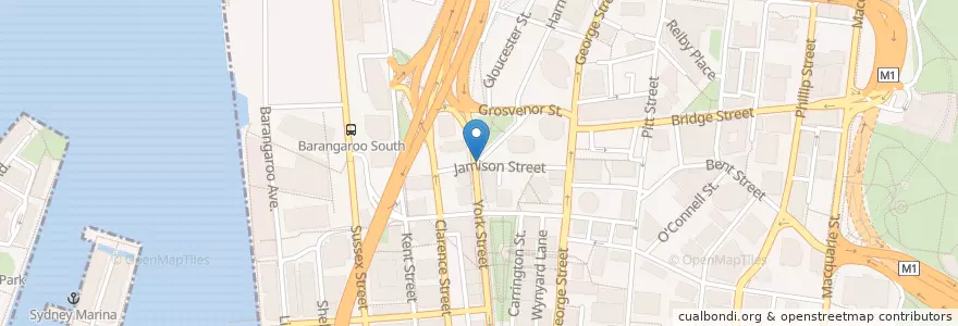 Mapa de ubicacion de Domino's en أستراليا, نيوساوث ويلز, Council Of The City Of Sydney, Sydney.