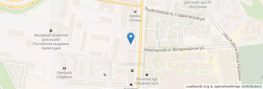 Mapa de ubicacion de Бхаджан en Rusia, Приволжский Федеральный Округ, Óblast De Nizhni Nóvgorod, Городской Округ Нижний Новгород.