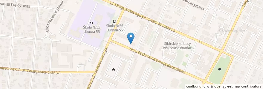 Mapa de ubicacion de Омск 644082 en Rusland, Federaal District Siberië, Омская Область, Омский Район, Городской Округ Омск.