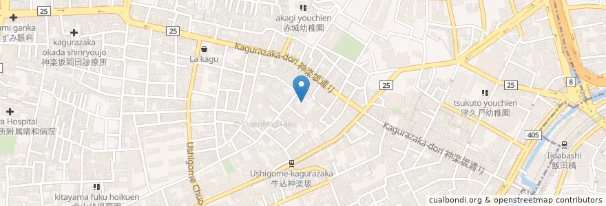 Mapa de ubicacion de 竜門寺 en Japon, Tokyo, Shinjuku.