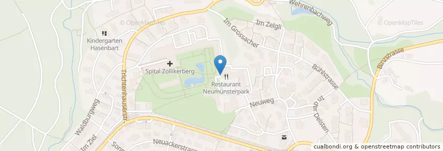 Mapa de ubicacion de Institut Neumünster en Schweiz/Suisse/Svizzera/Svizra, Zürich, Bezirk Meilen, Bezirk Zürich, Zollikon.