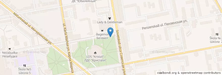Mapa de ubicacion de Робин Сдобин en Rusia, Distrito Federal Central, Óblast De Tambov, Тамбовский Район, Городской Округ Тамбов.