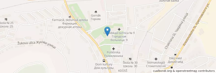 Mapa de ubicacion de Детская поликлиника en Rusland, Zuidelijk Federaal District, Sebastopol, Севастополь, Балаклавский Район, Балаклавский Округ.