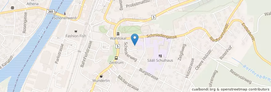 Mapa de ubicacion de Feuerwehrmagazin en Schweiz/Suisse/Svizzera/Svizra, Solothurn, Amtei Olten-Gösgen, Bezirk Olten, Schönenwerd.