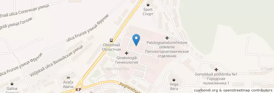 Mapa de ubicacion de Хирургический корпус № 1 en Russia, Far Eastern Federal District, Kamchatka Krai, Yelizovsky District, Petropavlovsk-Kamchatsky.