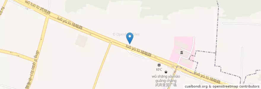 Mapa de ubicacion de 宝通禪寺 en 中国, 湖北省, 武汉市, 武昌区, 中南路街道.