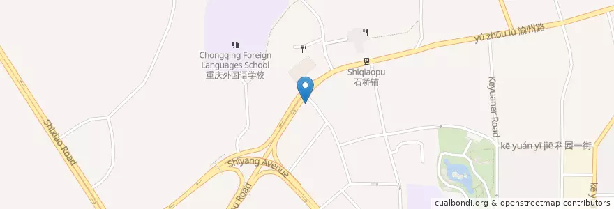 Mapa de ubicacion de China Agricultural Bank en China, Chongqing, 九龙坡区, 重庆市中心.