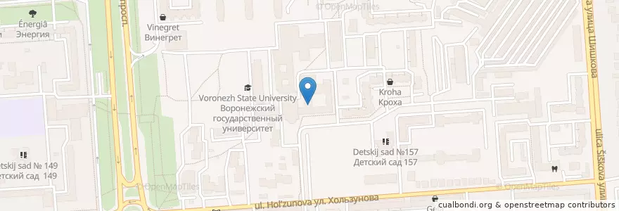 Mapa de ubicacion de Библиотека ВГУ en روسيا, Центральный Федеральный Округ, فارونيش أوبلاست, Городской Округ Воронеж.