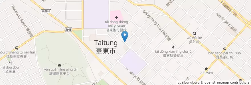 Mapa de ubicacion de 津芳冰城 en Taiwan, Provincia Di Taiwan, Contea Di Taitung, 臺東市.