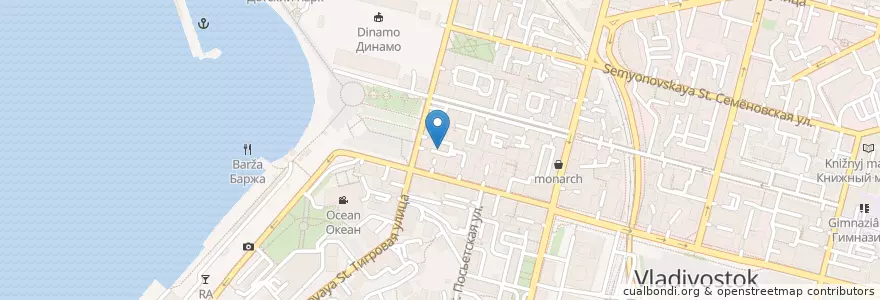 Mapa de ubicacion de Downtown Project en Россия, Дальневосточный Федеральный Округ, Приморский Край, Владивостокский Городской Округ.