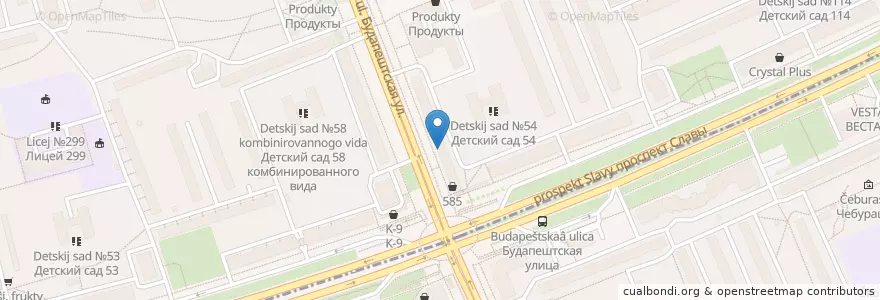 Mapa de ubicacion de Невис en Rusland, Северо-Западный Федеральный Округ, Oblast Leningrad, Sint-Petersburg, Фрунзенский Район, Округ Купчино.