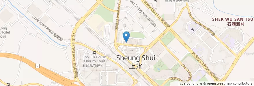 Mapa de ubicacion de 耀才證券 Bright Smart Securities en 中国, 香港, 広東省, 新界, 北區 North District.