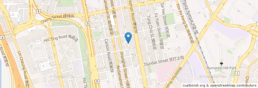 Mapa de ubicacion de 正宗水上人蒸氣鍋專門店 en Cina, Guangdong, Hong Kong, Kowloon, Nuovi Territori, 油尖旺區 Yau Tsim Mong District.