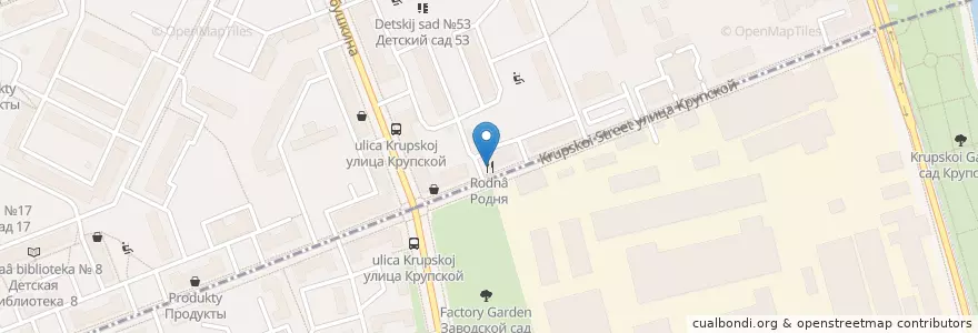 Mapa de ubicacion de Родня en Rusia, Северо-Западный Федеральный Округ, Óblast De Leningrado, San Petersburgo, Невский Район.