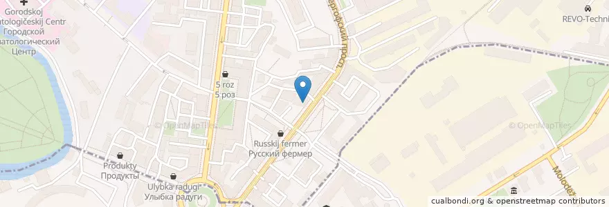 Mapa de ubicacion de Вальтер en Russia, Northwestern Federal District, Leningrad Oblast, Saint Petersburg, Адмиралтейский Район, Екатерингофский Округ.