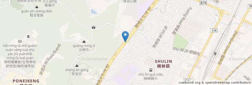 Mapa de ubicacion de 大安路307巷口 en Taiwán, Nuevo Taipéi, 樹林區.