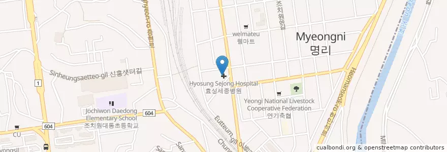 Mapa de ubicacion de 효성세종병원 en Corea Del Sur, Chungcheong Del Norte, 조치원읍, 청주시, 흥덕구.