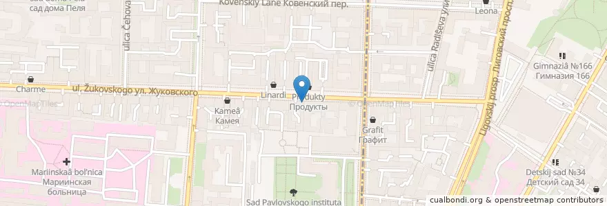 Mapa de ubicacion de Пицца 22 см en Rusia, Северо-Западный Федеральный Округ, Óblast De Leningrado, San Petersburgo, Центральный Район, Литейный Округ.