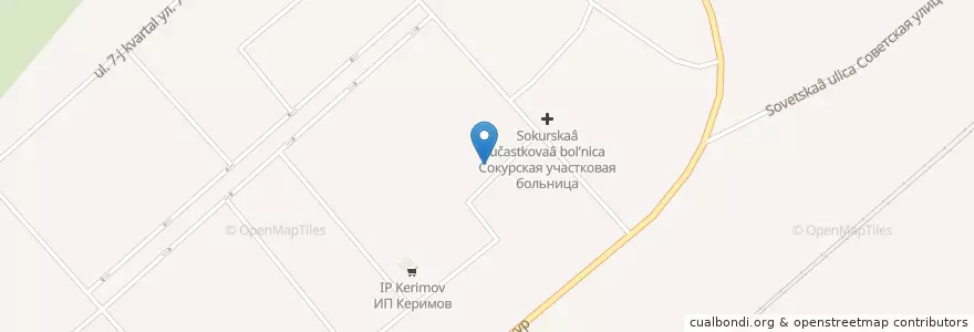Mapa de ubicacion de Аптека en ロシア, シベリア連邦管区, ノヴォシビルスク州, モシュコヴォ地区, Сокурский Сельсовет.