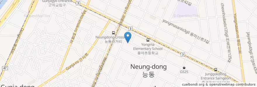 Mapa de ubicacion de 자연애목장 en Korea Selatan, 서울, 광진구, 능동.