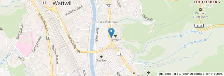 Mapa de ubicacion de Pizzeria I Due Fratelli en Svizzera, San Gallo, Wahlkreis Toggenburg, Wattwil.