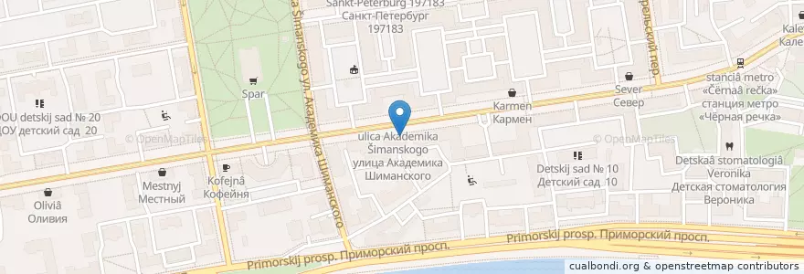 Mapa de ubicacion de Middle Pub en Russia, Northwestern Federal District, Leningrad Oblast, Saint Petersburg, Приморский Район, Округ Чёрная Речка.