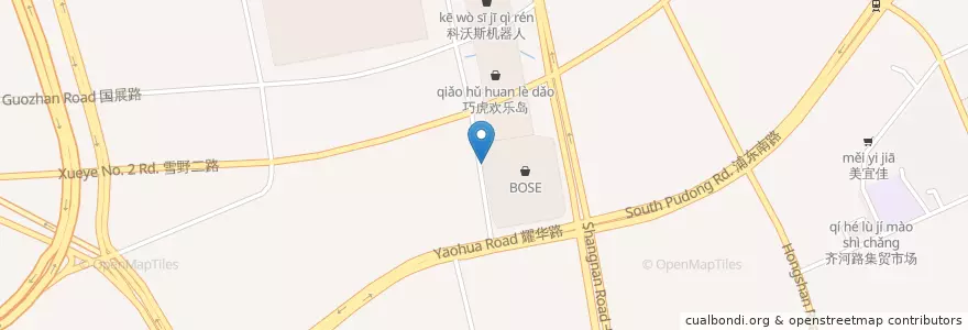 Mapa de ubicacion de 世博源停车场（入口） en 中国, 上海市, 浦东新区.