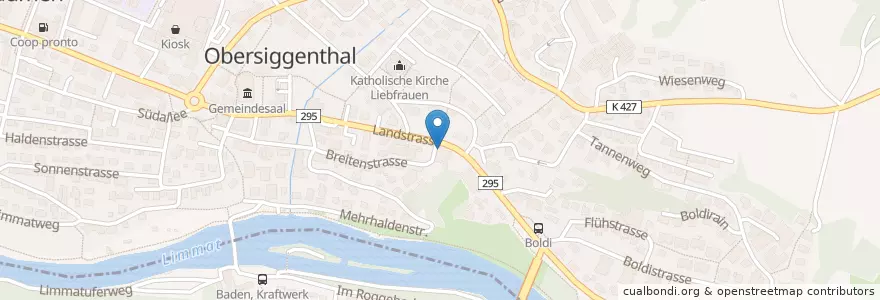 Mapa de ubicacion de Blue Bird Bar en Suisse, Argovie, Bezirk Baden, Obersiggenthal.