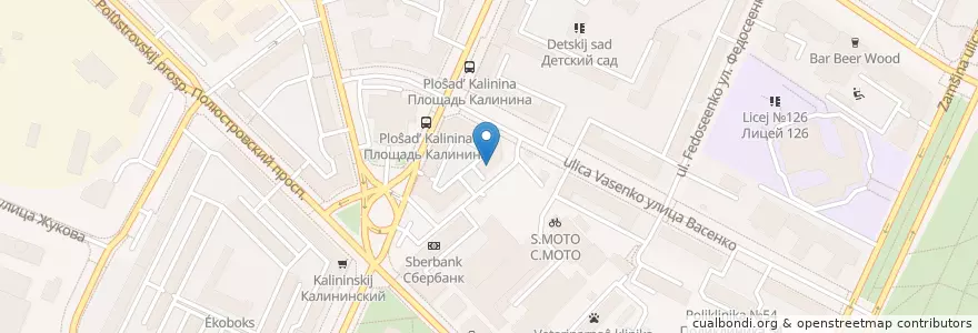Mapa de ubicacion de Лери 33 en Russia, Northwestern Federal District, Leningrad Oblast, Saint Petersburg, Калининский Район, Финляндский Округ.