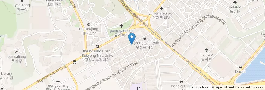 Mapa de ubicacion de 알천순대곱창 전골전문점 알천본점 en Korea Selatan, 부산, 남구.