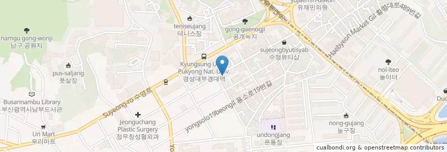 Mapa de ubicacion de 통닭마을 대연점 en کره جنوبی, بوسان, 남구.