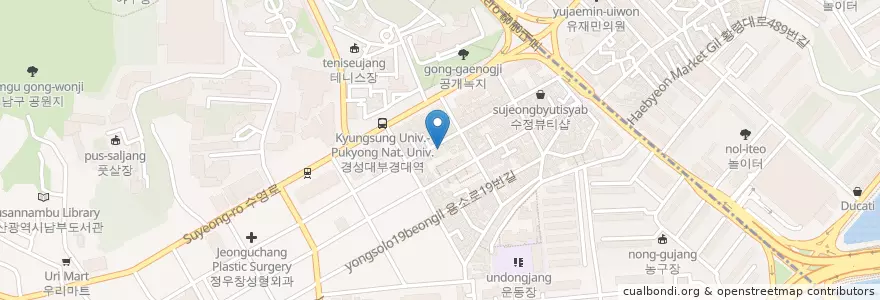 Mapa de ubicacion de 썬더치킨 경성대점 en Coreia Do Sul, Busan, 남구.