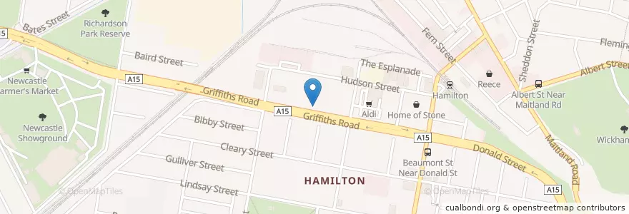Mapa de ubicacion de Hamilton VET Clinic en Austrália, Nova Gales Do Sul, Newcastle City Council, Newcastle-Maitland.