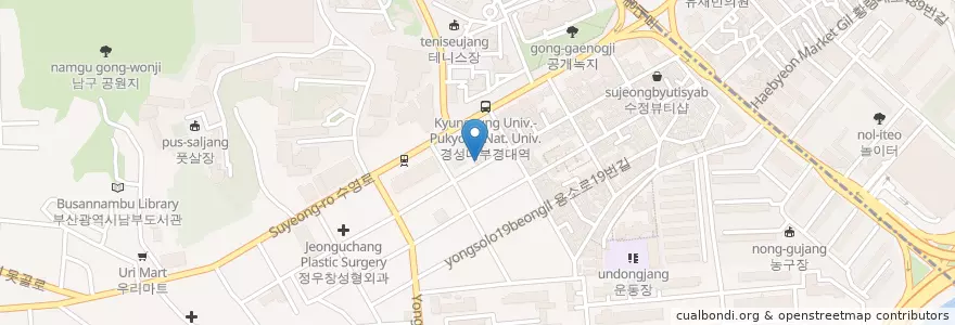 Mapa de ubicacion de 종가대박집 대연점 en Korea Selatan, 부산, 남구, 대연동.