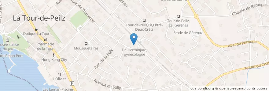 Mapa de ubicacion de Dr. Herminjard, gynécologue en İsviçre, Vaud, La Tour-De-Peilz.