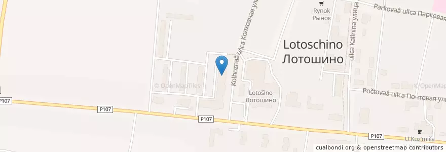 Mapa de ubicacion de Центральная лотошинская библиотека en Russie, District Fédéral Central, Oblast De Moscou, Городской Округ Лотошино.