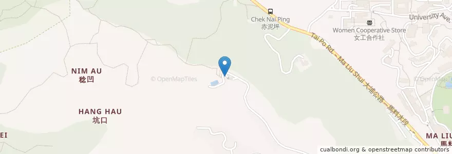 Mapa de ubicacion de 麗坪路 en 中国, 香港, 广东省, 新界, 沙田區.